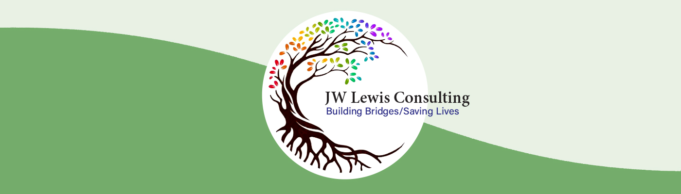 J W Lewis Consulting